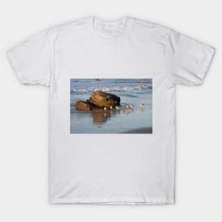 Shorebirds in a Straight Line at Crystal Cove T-Shirt